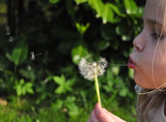 C’est le printemps, sortez vos petits-enfants !