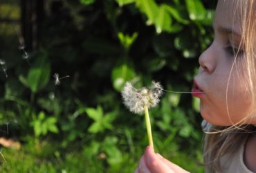 C’est le printemps, sortez vos petits-enfants !