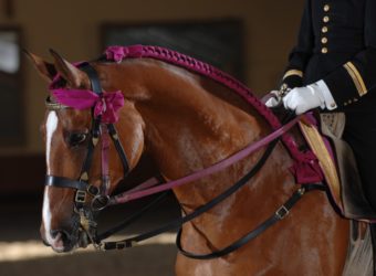 L’équitation de tradition Française