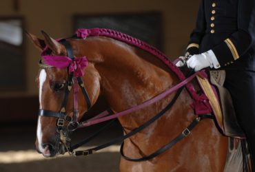 L’équitation de tradition Française