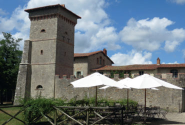 La Garenne Lemot : Un petit tour dans le vignoble