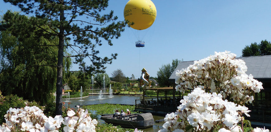 You are currently viewing Terra botanica