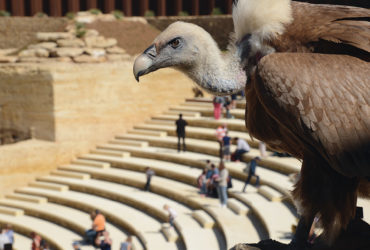 L’Eurasie au cœur du Bioparc