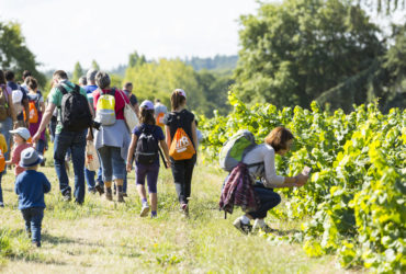 VVR, le rendez-vous incontournable de l’œnotourisme au cœur des vignobles du Val de Loire