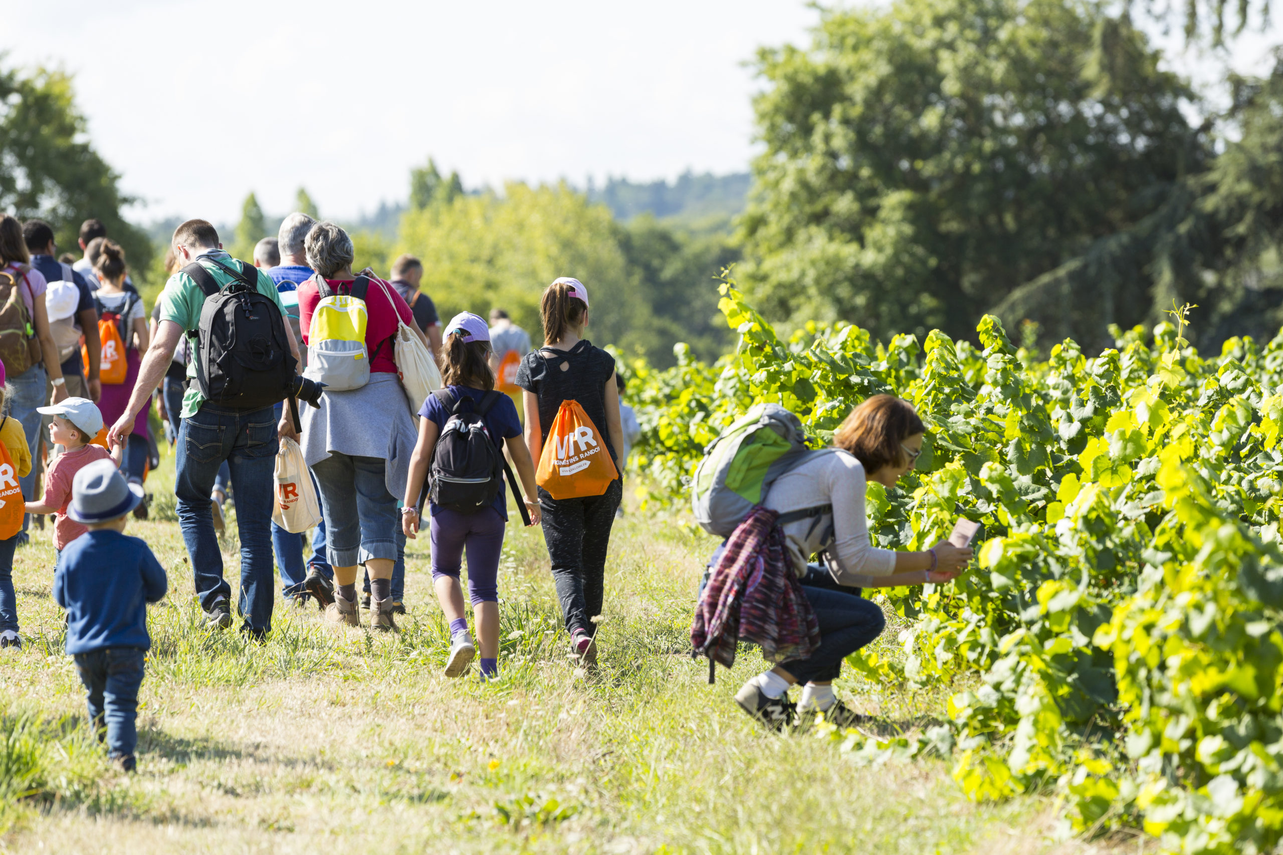 You are currently viewing VVR, le rendez-vous incontournable de l’œnotourisme au cœur des vignobles du Val de Loire