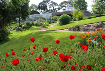 Le jardin camifolia